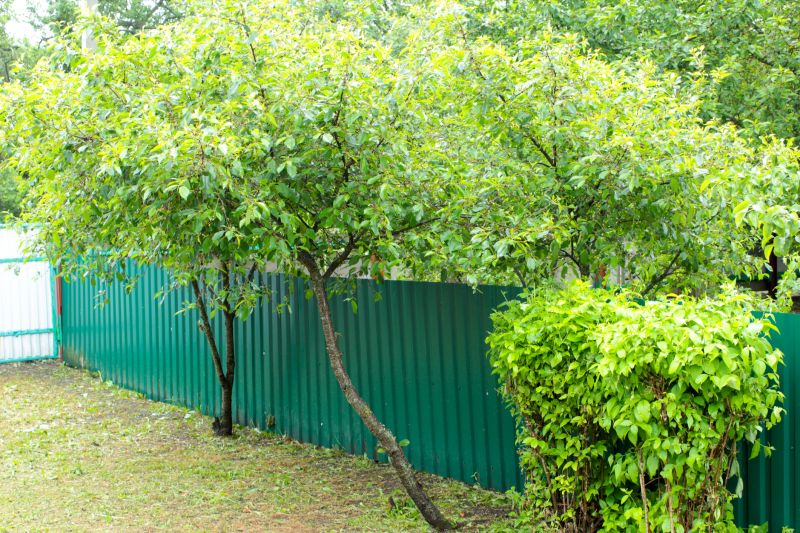 Fence Painting Service