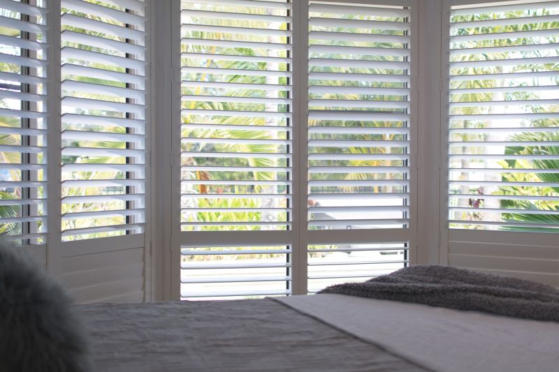 Vinyl Shutters Painting