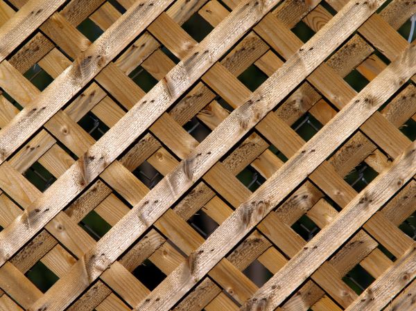 Lattice Design